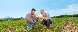 expertos-agricultura-sostenible