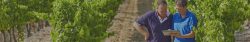 ofertas-empleo-timac-agro
