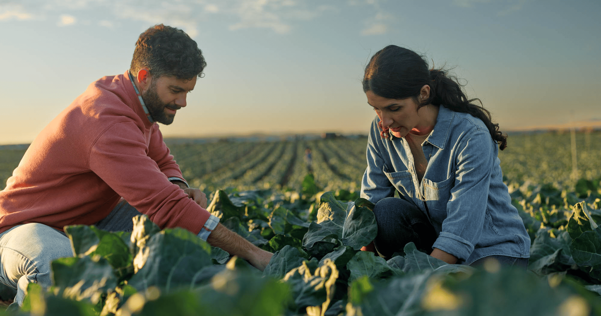 ¿Qué implica el Real Decreto de Nutrición Sostenible?