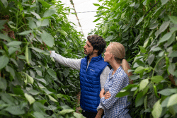 Nutricion vegetal TIMAC AGRO
