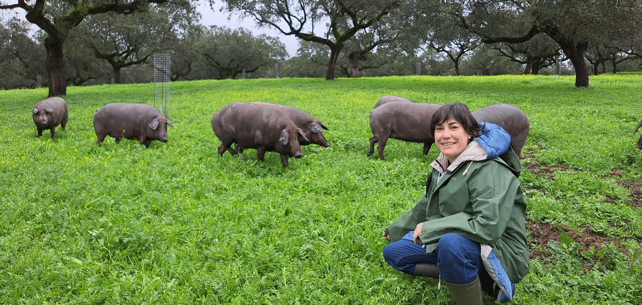 Beatriz Redondo Bienestar Animal