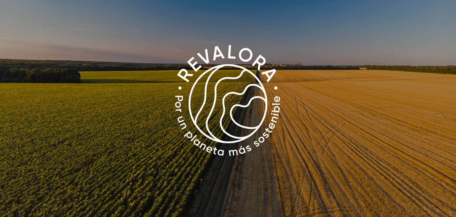 Ampliación REVALORA