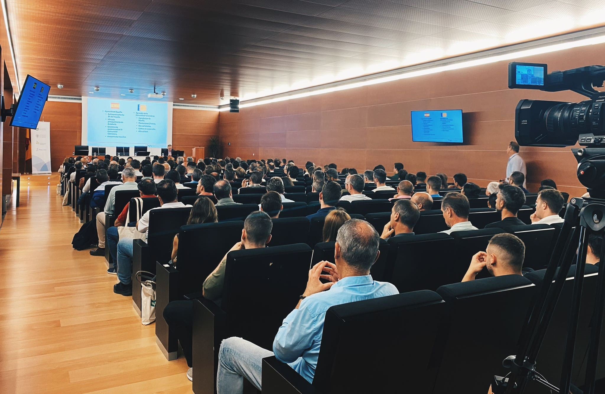 agroday cítricos y aguacate