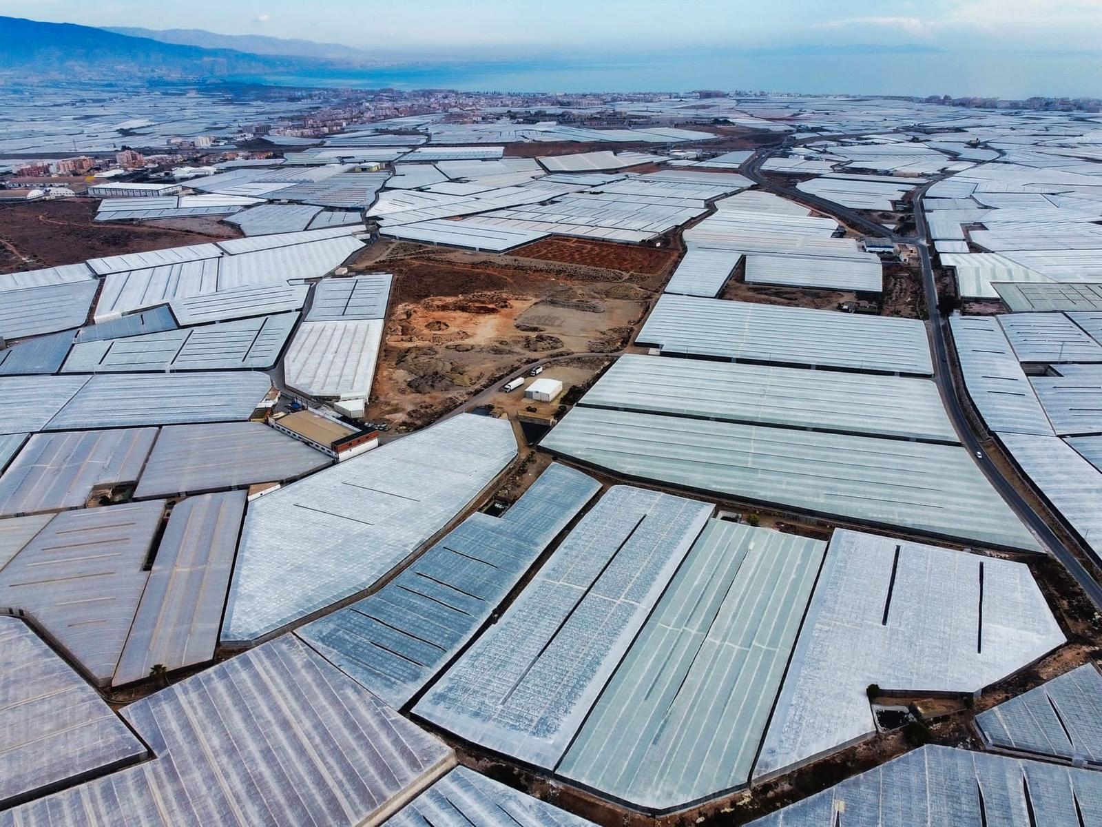 Hortícolas Almería