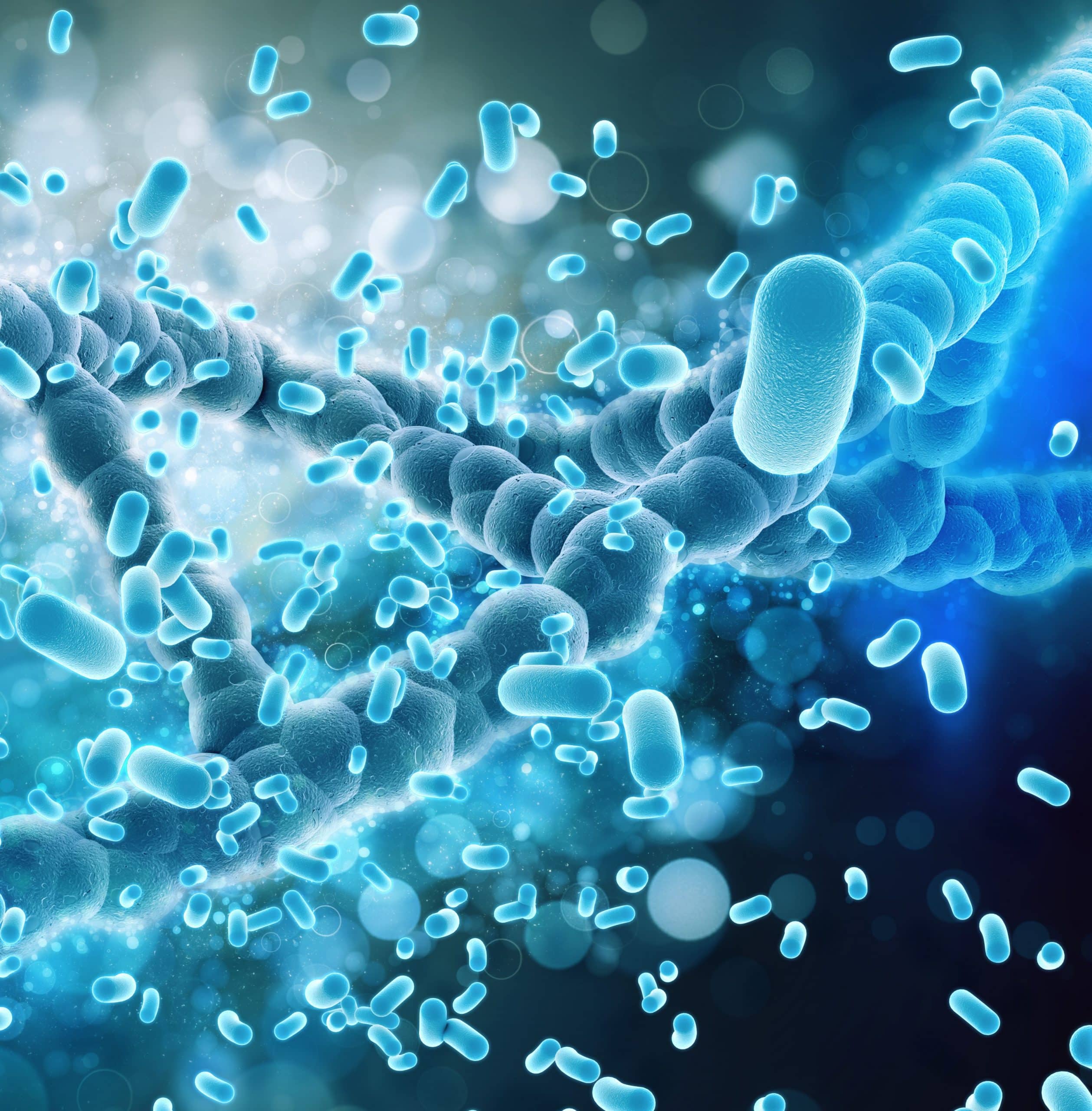 Hortícolas Almería