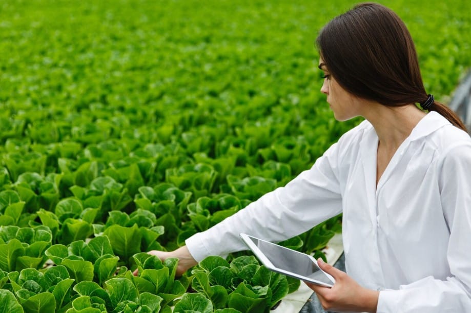 Entrevista agricultura de precisión
