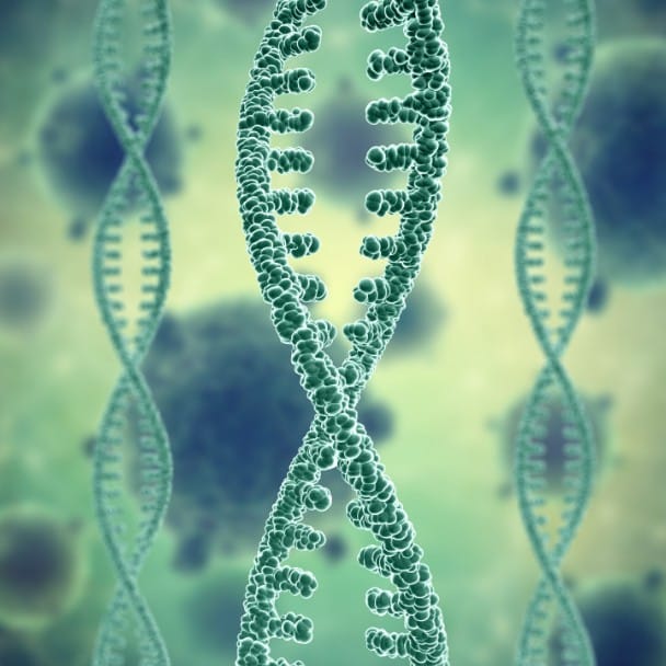 Entrevista agricultura de precisión