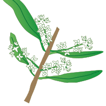 crop step 4