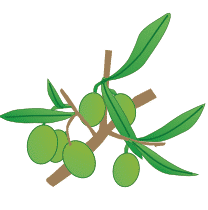 crop step 6