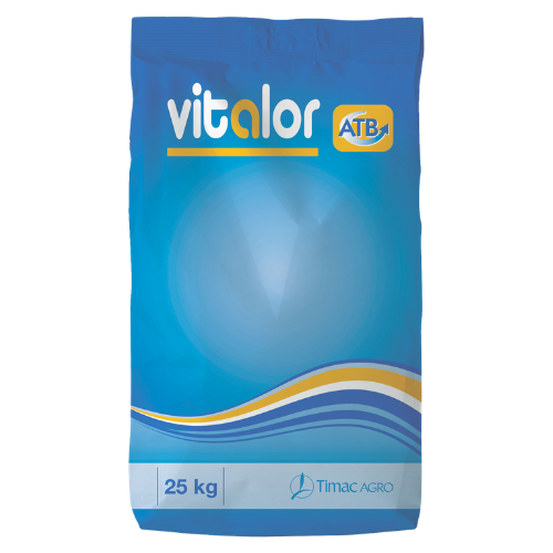 VITALOR