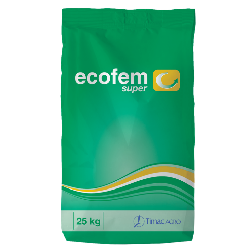 ECOFEM