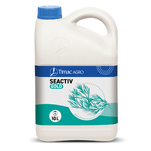 SEACTIV