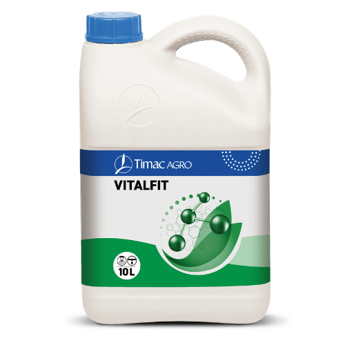 VITALFIT