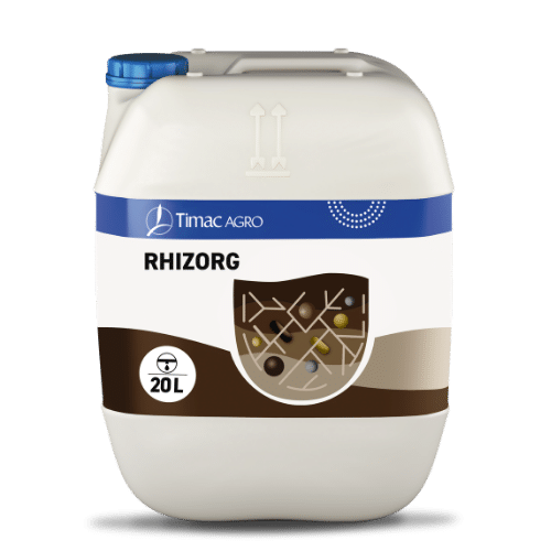 RHIZORG