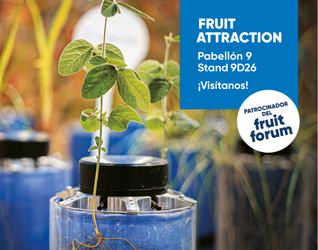 Fruit Attraction 26